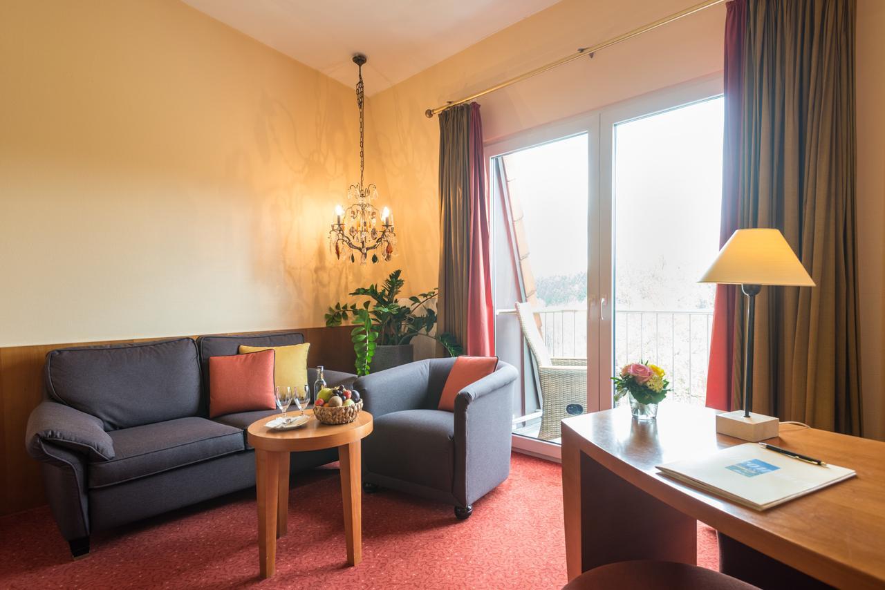 Hotel Heinz Höhr-Grenzhausen Pokój zdjęcie